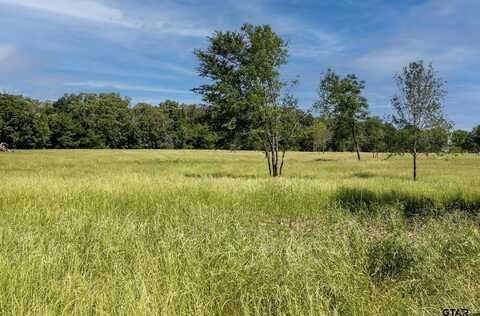 TBD 004 VZ County Road 1805, Grand Saline, TX 75140