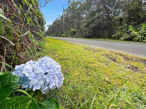 8TH ST, Volcano, HI 96785
