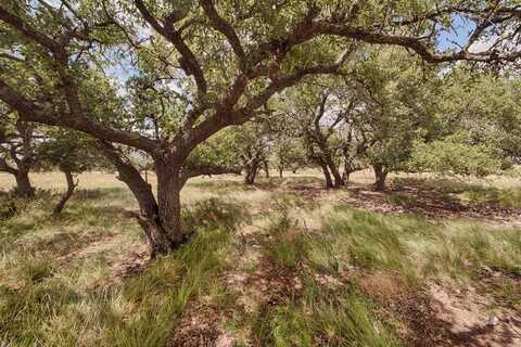 Lot 124 Oryx View Drive, Harper, TX 78631