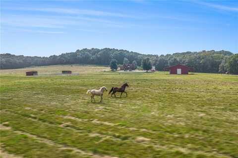 6998 Lyman Road, Mound City, KS 66056