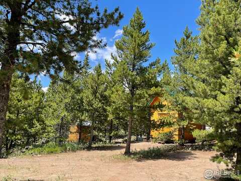170 Penobscot Ct, Red Feather Lakes, CO 80545