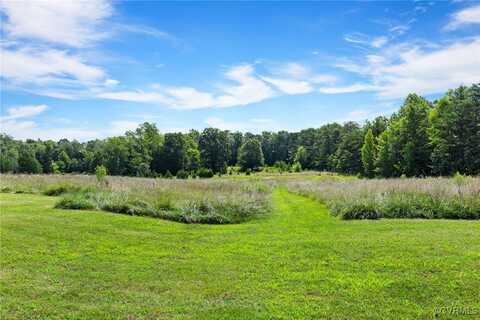 361 Foster Trl, Louisa, VA 23093