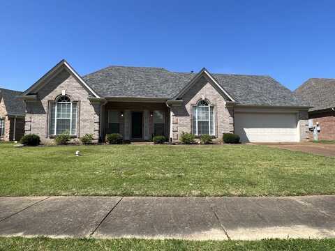 4623 E ASHGLEN, Collierville, TN 38017