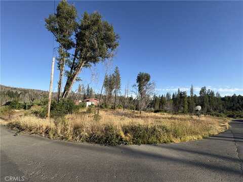 100 Meadow Lane, Berry Creek, CA 95916