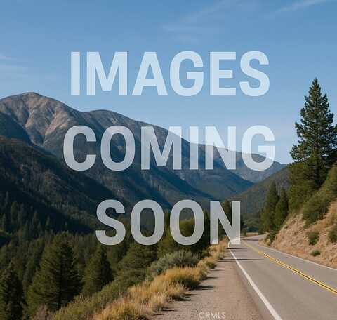 0 Highway 38, Angelus Oaks, CA 92305