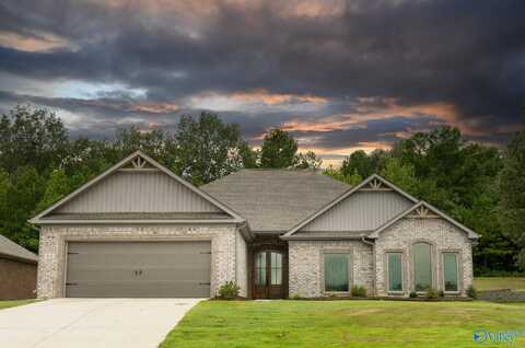 89 Hawthorn Way, Trinity, AL 35673