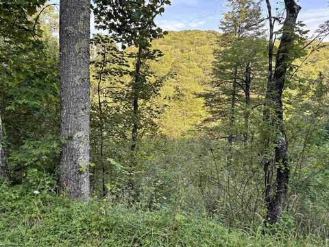 2789 Salt Lick Road, Montrose, WV 26283