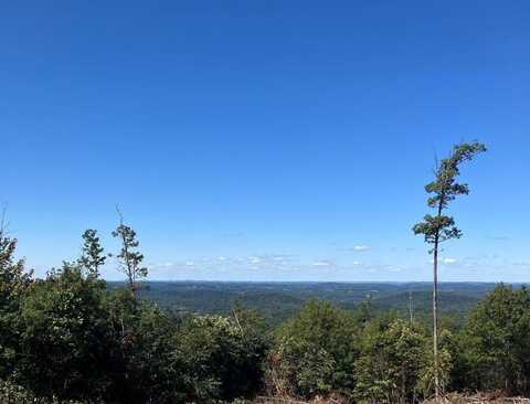 2789 Salt Lick Road, Montrose, WV 26283