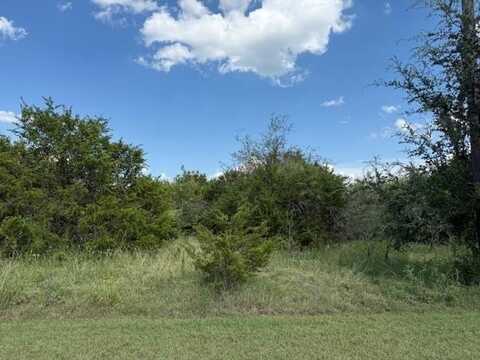 39231 Cedar Park Drive, Whitney, TX 76692