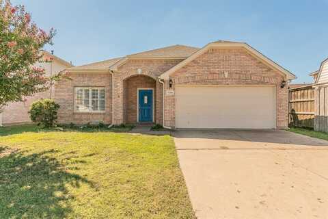 734 Parkford Lane, Arlington, TX 76001