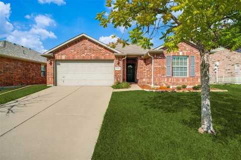 14528 Little Anne Drive, Little Elm, TX 75068