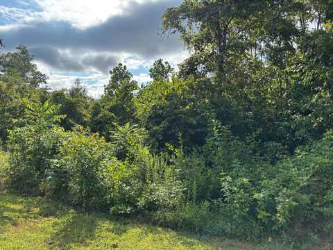 Lot 17A Old Lead Mine Bend Rd, Sharps Chapel, TN 37866