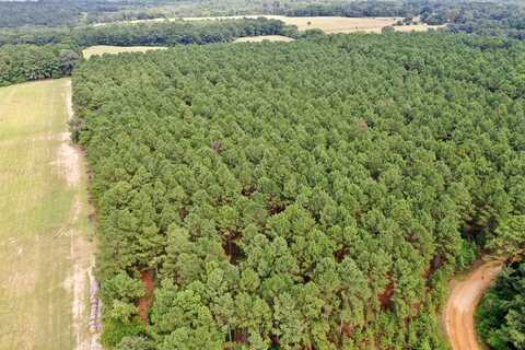 TBD CR 1735, GRAPELAND, TX 75844