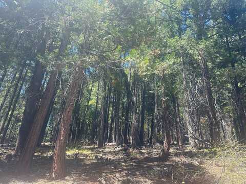 2547 Rideout Trail, Quincy, CA 95971