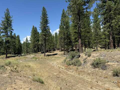 1359 Valley Ranch Drive, Clio, CA 96106