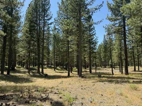 1269 Valley Ranch Drive, Clio, CA 96103