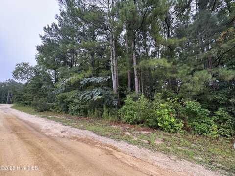 24 Sapling Lane, Cameron, NC 28326