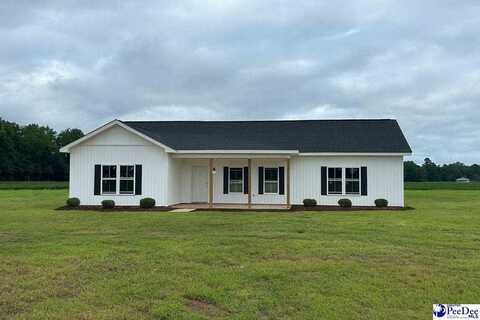 308 Todd's School Rd., Mullins, SC 29574