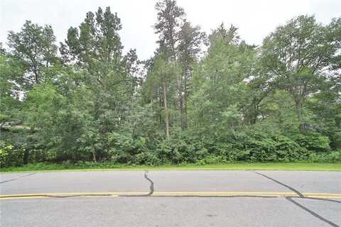 Tbd Paper Birch Drive, Baxter, MN 56425
