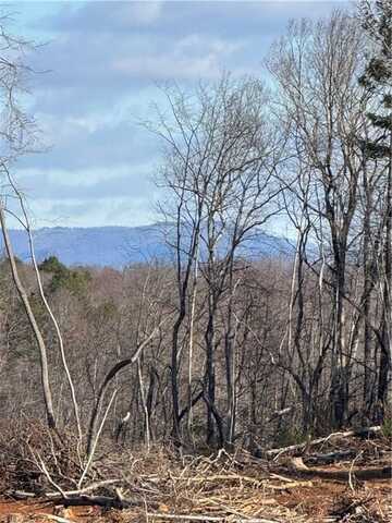 00 Money Road, Dobson, NC 27017