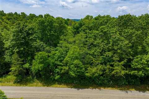 Tbd Air Bellows Gap Road, Sparta, NC 28675