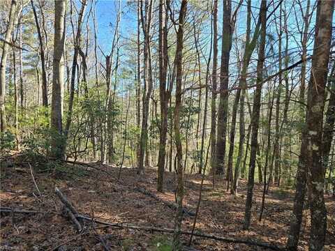 Tbd Timber Ridge Road, Millers Creek, NC 28651