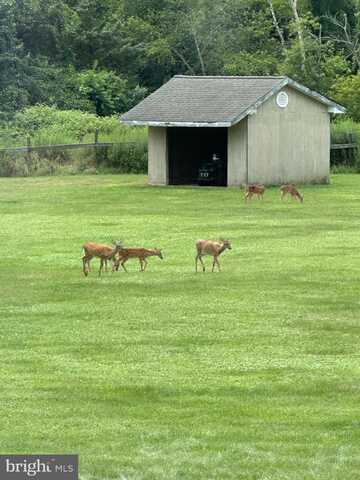 576 PROVINCELINE RD.,WRIGHTSTOWN, NJ 08562, WRIGHTSTOWN, NJ 08562