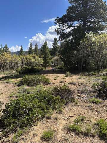 Bonnie Green DR, Duck Creek Village, UT 84762