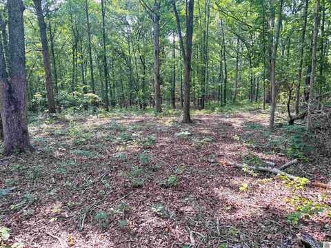 00 Beat Farmer Road, Lot 2, New Concord, KY 42076