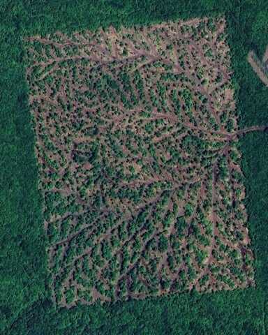 . Sharrett Road, Ellenburg, NY 12933