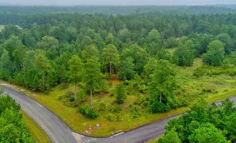 Lot 5 Cooks Pond Rd, Windsor, SC 29856