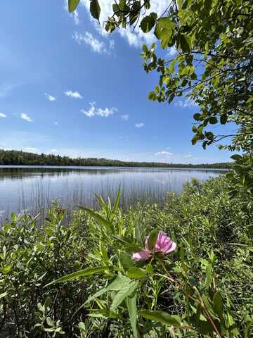 9840 Ocqueoc Lake Road, Millersburg, MI 49759
