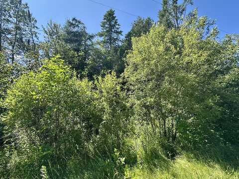 14371 Stoney Pointe Road, Cheboygan, MI 49721