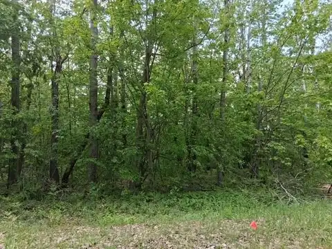 Country Club Drive lot: 231, Mancelona, MI 49659