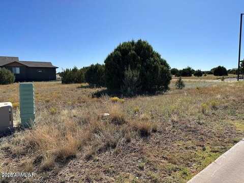 1001 S RIDGEWAY Place, Show Low, AZ 85901
