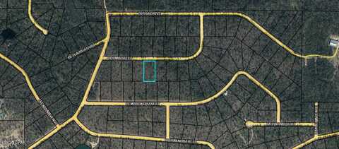Lot 29 Odum Street, Alford, FL 32420