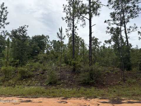 Lot 29 Odum Street, Alford, FL 32420