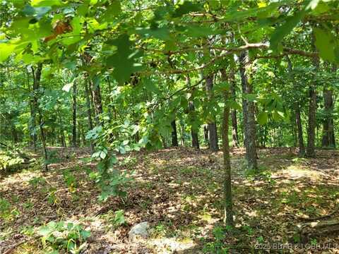 Lee Drive, Edwards, MO 65326