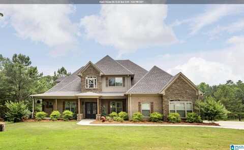 415 LYLES DRIVE, ODENVILLE, AL 35120