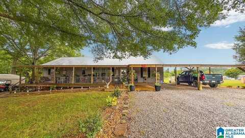 127 BULLET LANE, WILSONVILLE, AL 35186