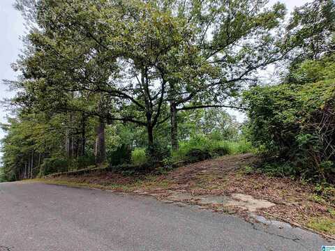160 CIRCLE DRIVE, PELL CITY, AL 35128