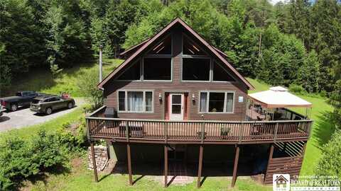 3220 Mcclure Hollow Road, Allegany, NY 14706