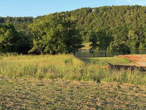 Lot 32 Dry Fly Court, Flippin, AR 72634