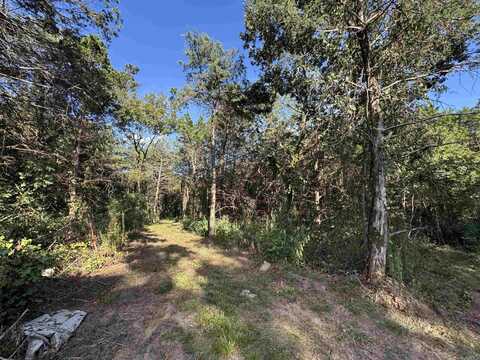 000 Leftwich Lane, Booneville, AR 72927