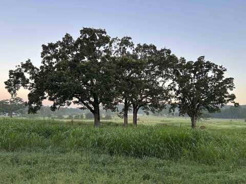 TBD Polk Road 49, Mena, AR 71953
