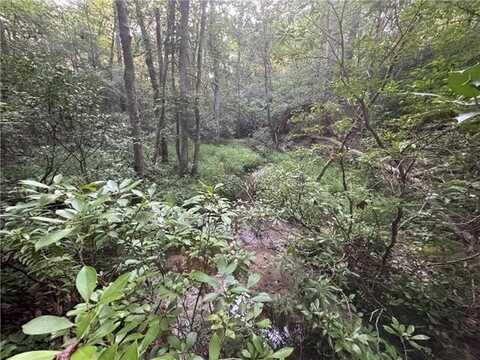 Lot 184 Wild Horse Trail, Lancaster, VA 22503