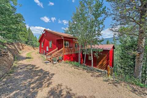153 Wise Road, Bailey, CO 80421