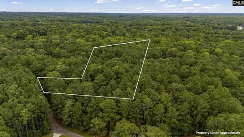 227 Will Dent Road, Gilbert, SC 29072