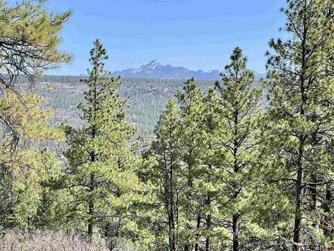252 Starlight Place, Pagosa Springs, CO 81147