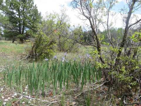 4140 N Pagosa Boulevard, Pagosa Springs, CO 81147